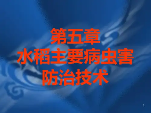 水稻主要病虫害防治技术PPT课件