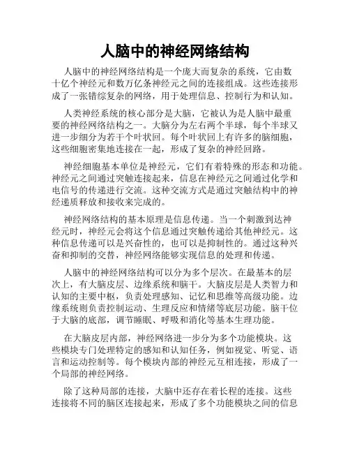 人脑中的神经网络结构