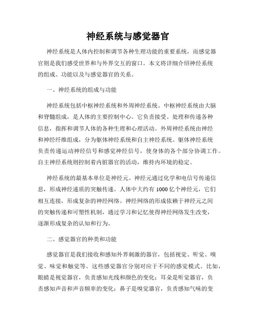 神经系统与感觉器官