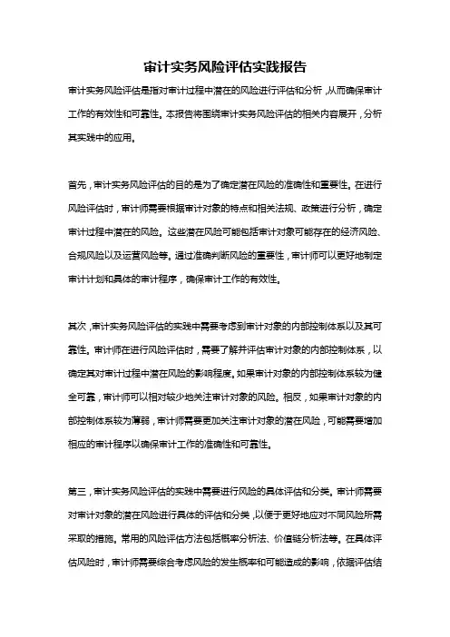 审计实务风险评估实践报告