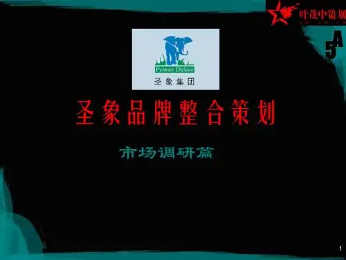 《圣象品牌整合策划》PPT课件