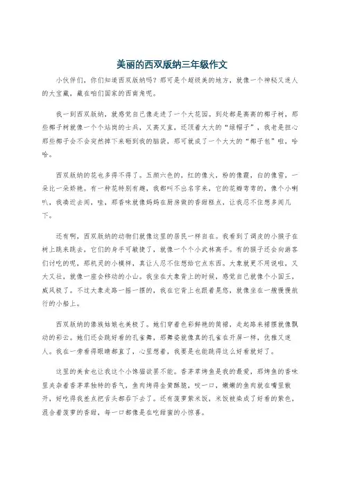 美丽的西双版纳三年级作文