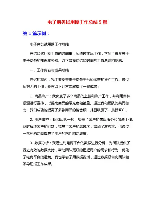 电子商务试用期工作总结5篇