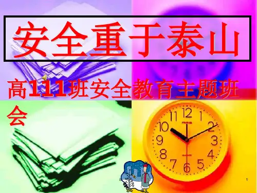 安全主题班会(共40张)ppt课件