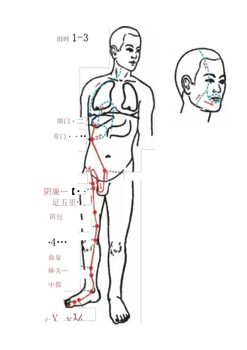 十二经络高清图(包含经络穴位)