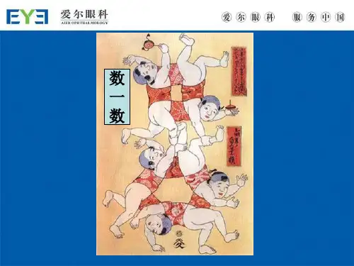 眼科基础知识培训