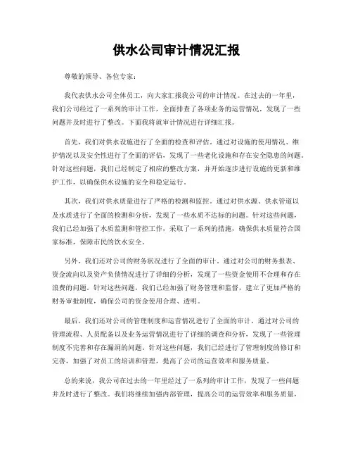 供水公司审计情况汇报