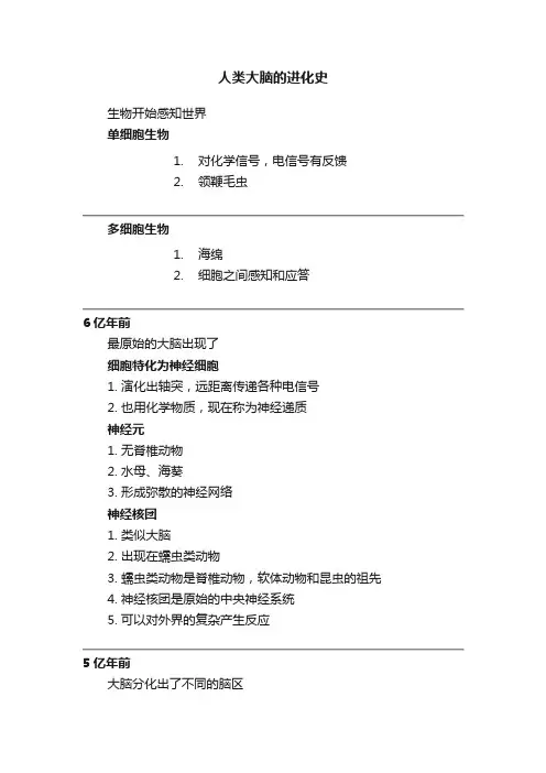 人类大脑的进化史