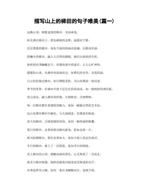 描写山上的梯田的句子唯美(精选合集2篇)