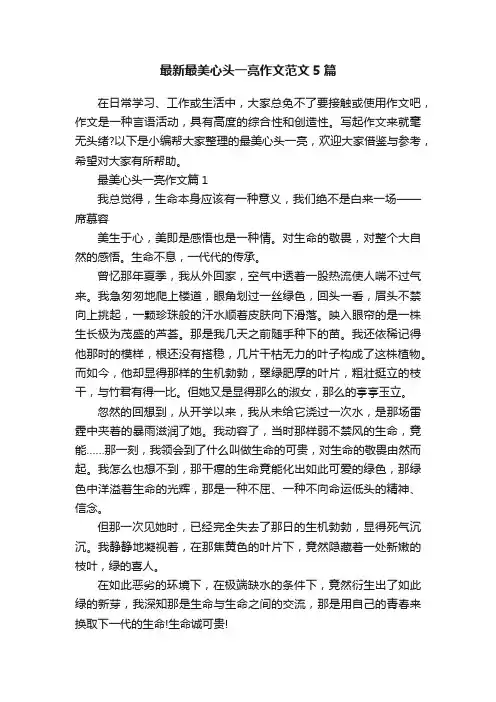 最新最美心头一亮作文范文5篇