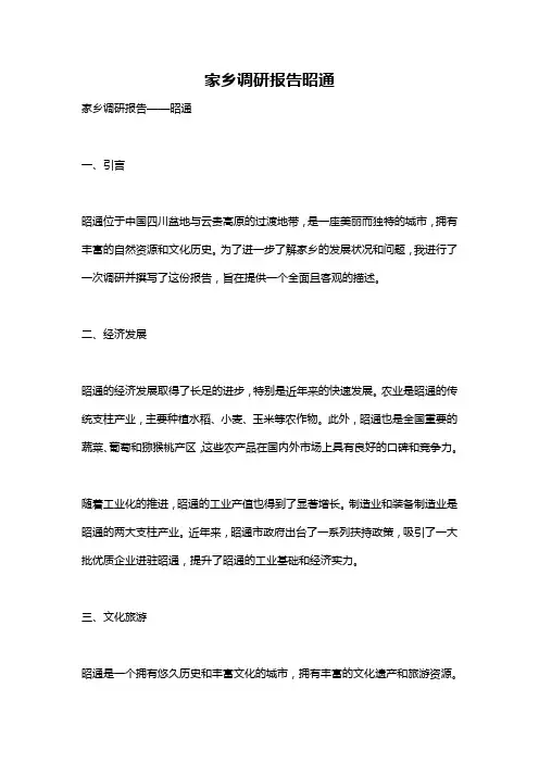 家乡调研报告昭通