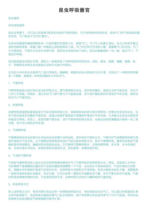 昆虫呼吸器官