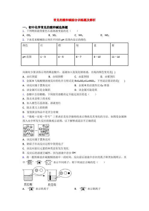 常见的酸和碱综合训练题及解析