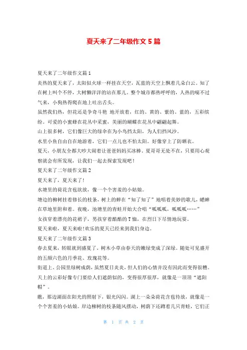 夏天来了二年级作文5篇