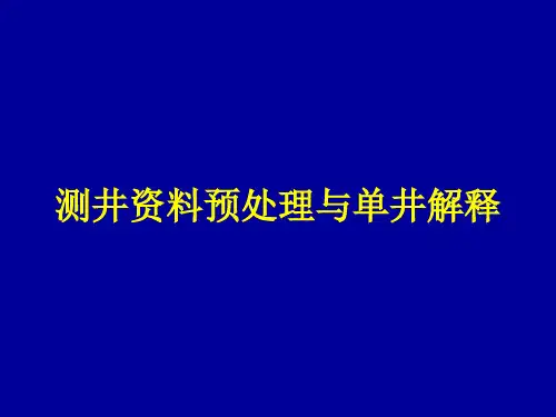 测井资料预处理与单井解释