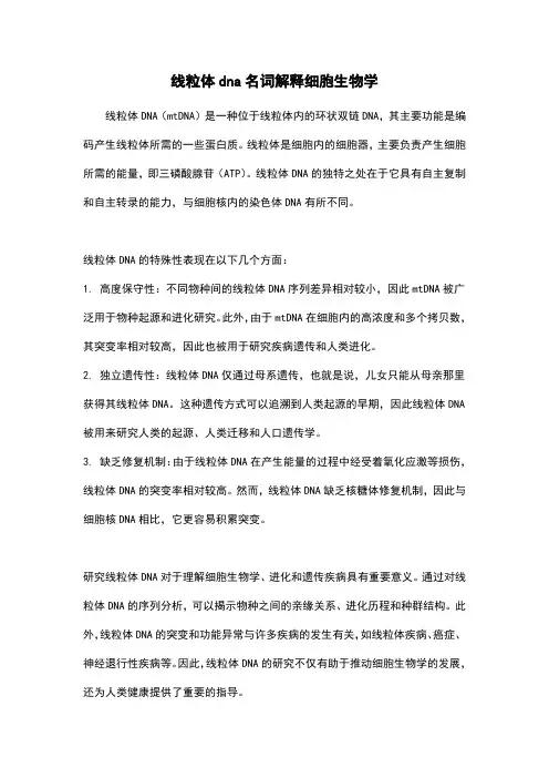线粒体dna名词解释细胞生物学