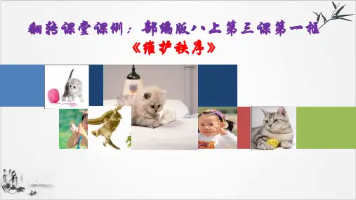 人教版八年级道德与法治上维护秩序课件(共21张PPT)
