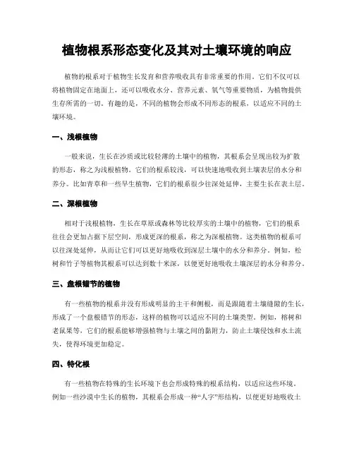 植物根系形态变化及其对土壤环境的响应