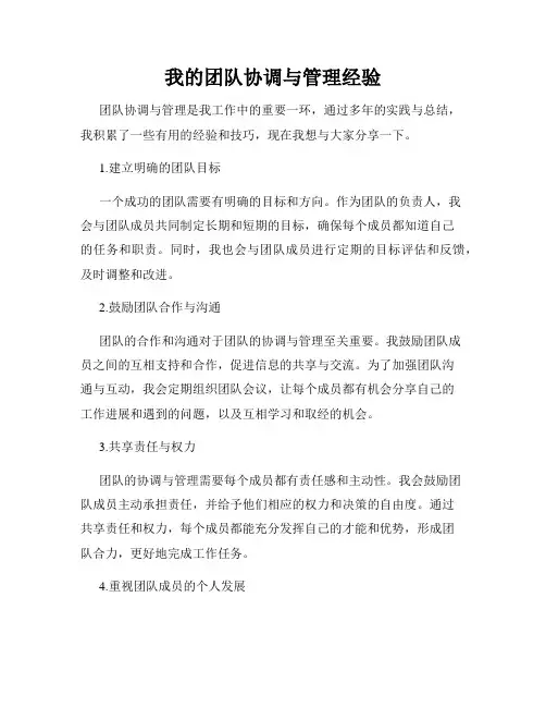 我的团队协调与管理经验