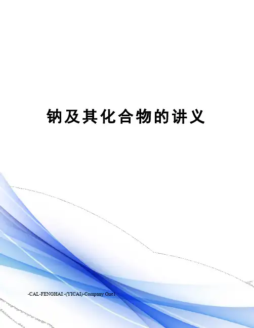 钠及其化合物的讲义
