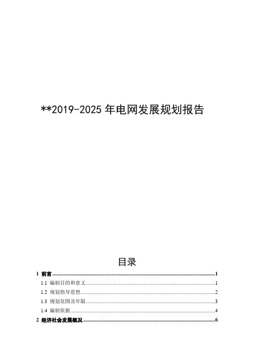 2019-2025年电网发展规划报告
