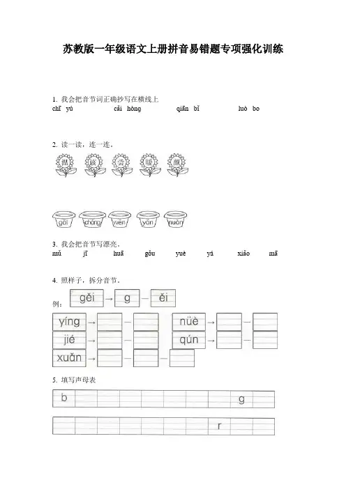 苏教版一年级语文上册拼音易错题专项强化训练