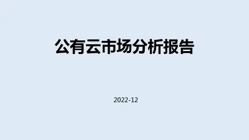 公有云市场分析报告