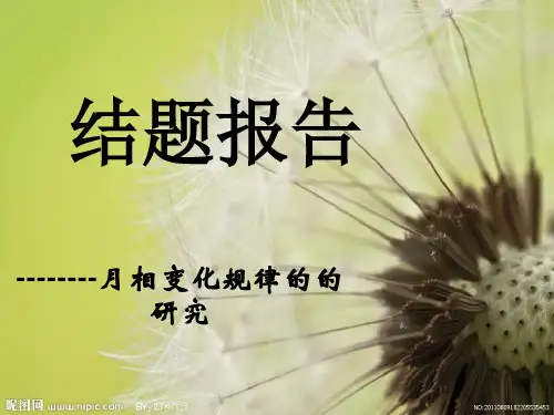 研究性学习结题报告PPT范例一：《中国传统卯榫结构及其传承的研究》