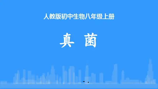 《真菌》PPT优秀课件