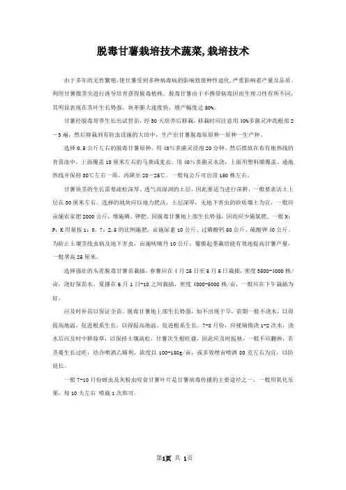 脱毒甘薯栽培技术蔬菜,栽培技术