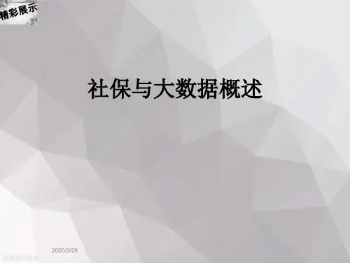 社保与大数据概述