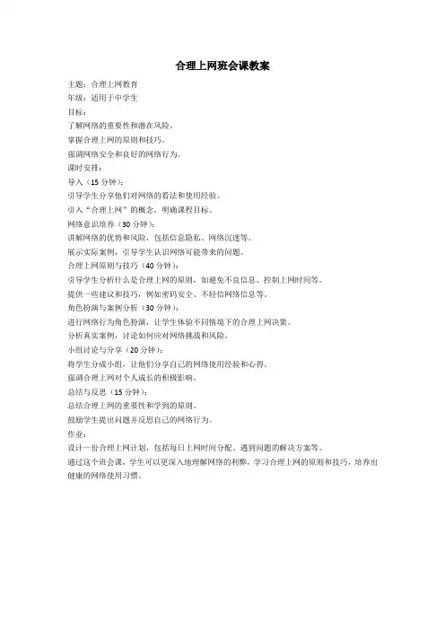 合理上网班会课教案