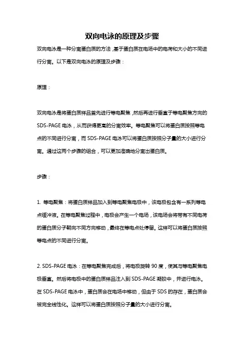 双向电泳的原理及步骤
