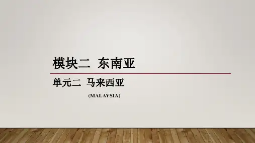 马来西亚[24页]