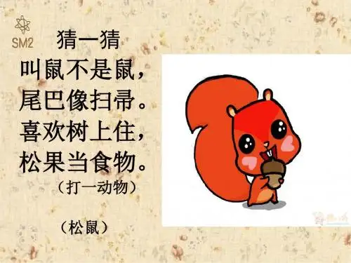 《跑进家来的松鼠》公开课PPT