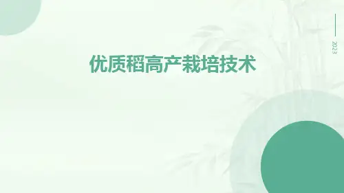 优质稻高产栽培技术