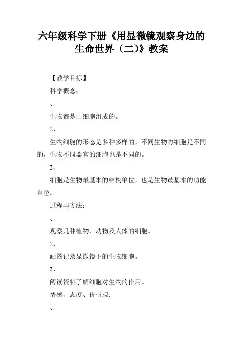 六年级科学下册《用显微镜观察身边的生命世界(二)》教案