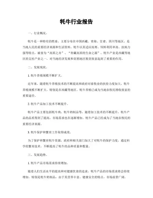 牦牛行业报告