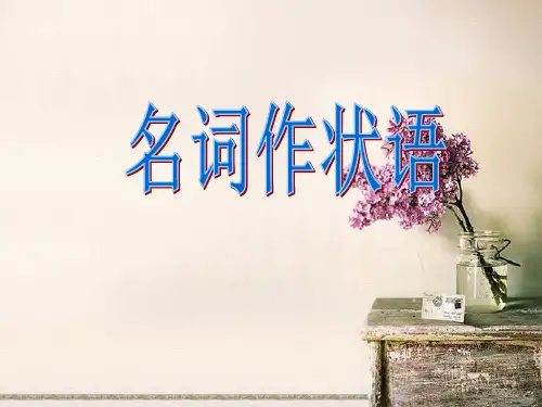 名词作状语