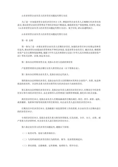 山东省省管企业负责人经济责任问题追究暂行办法