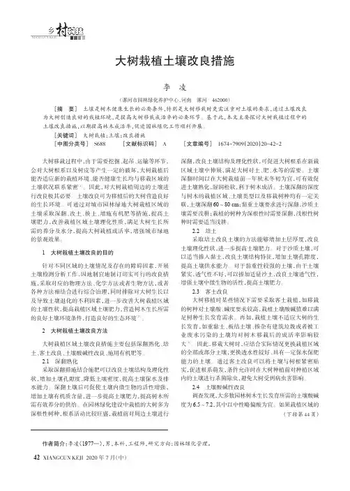 大树栽植土壤改良措施