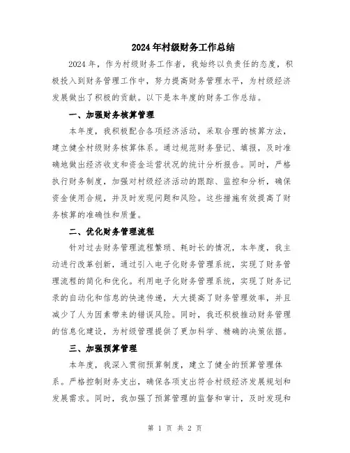 2024年村级财务工作总结