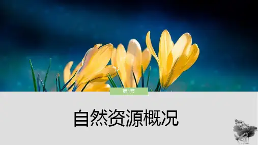 3-1-+自然资源概况+课件-2023-2024学年八年级地理上学期湘教版