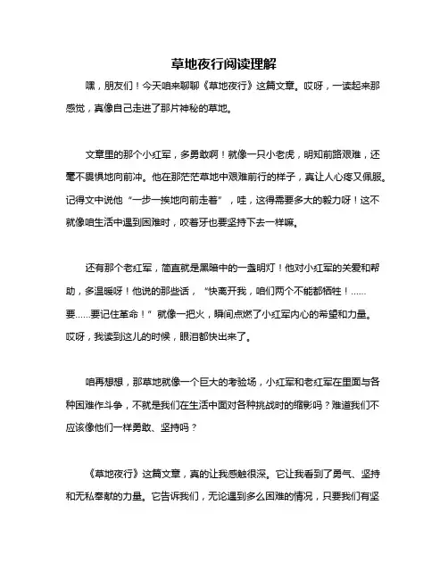 草地夜行阅读理解