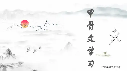 汉字与文化之甲骨文学习