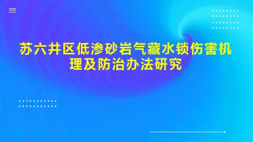 苏六井区低渗砂岩气藏水锁伤害机理及防治办法研究