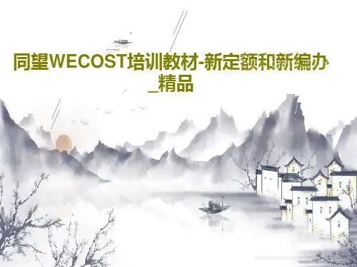 同望WECOST培训教材-新定额和新编办_精品共31页
