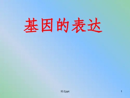 高中生物 基因的表达课件 新人教版必修2
