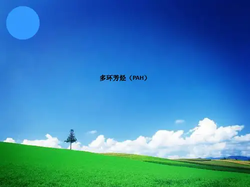 多环芳烃(PAH)