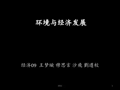 环境与经济发展-PPT课件
